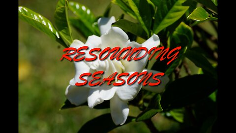 Resounding Seasons