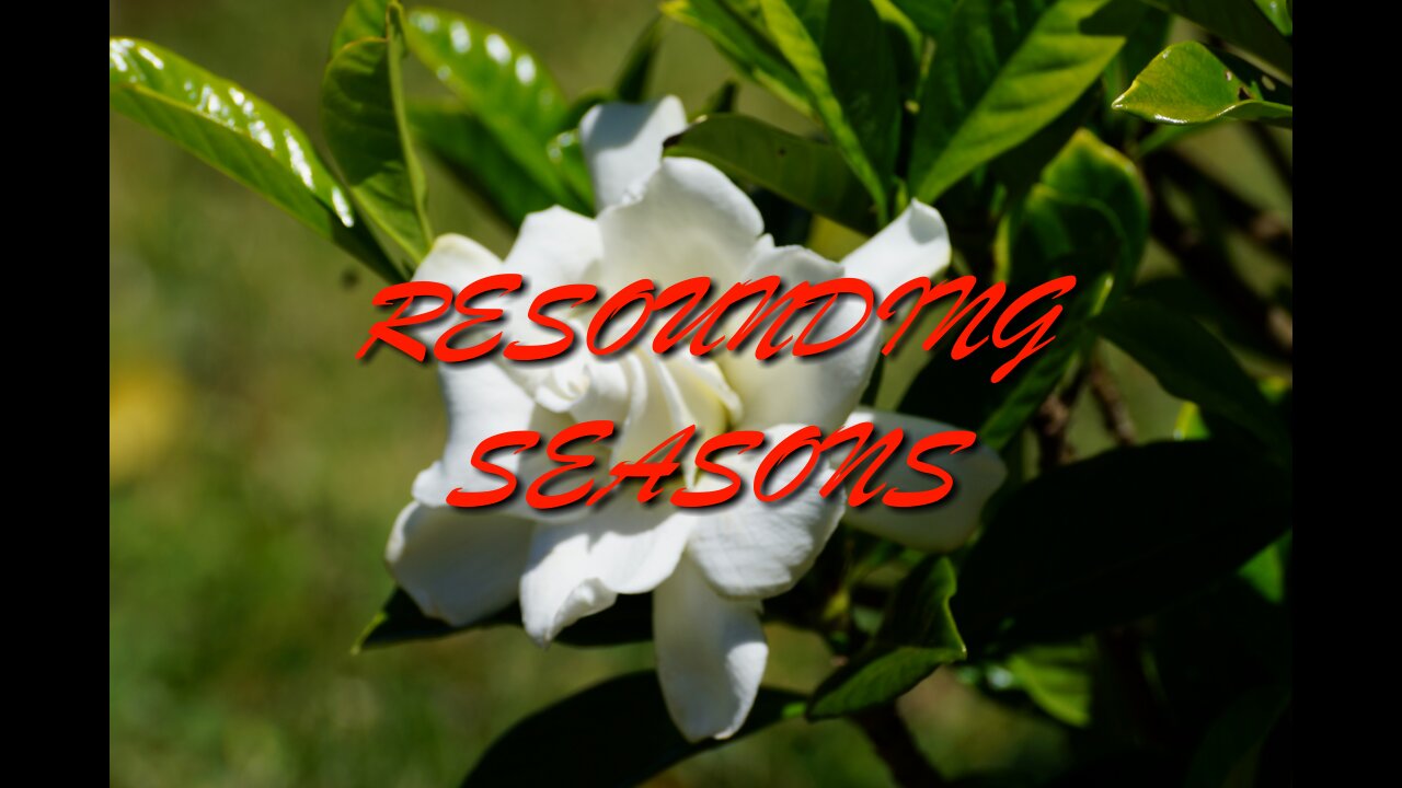 Resounding Seasons