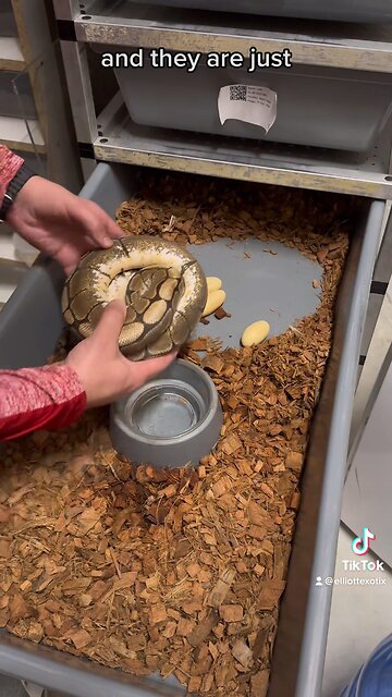 Geez, talk about a terrible Tuesday!