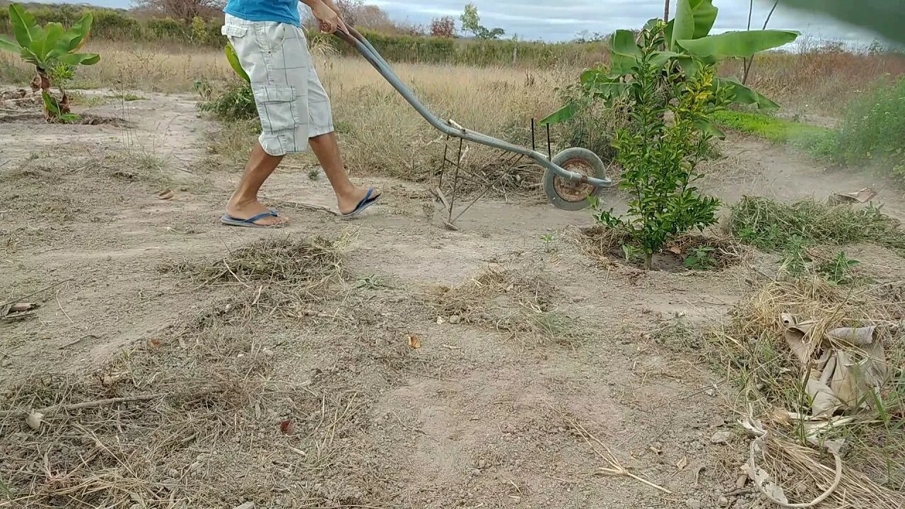 Capinadeira Feita com Carrinho de mão