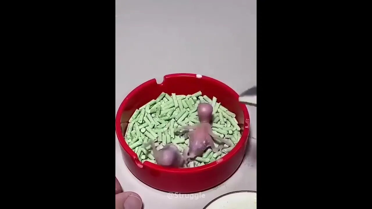 Hand Feeding to one day Old Birds baby in Emergency