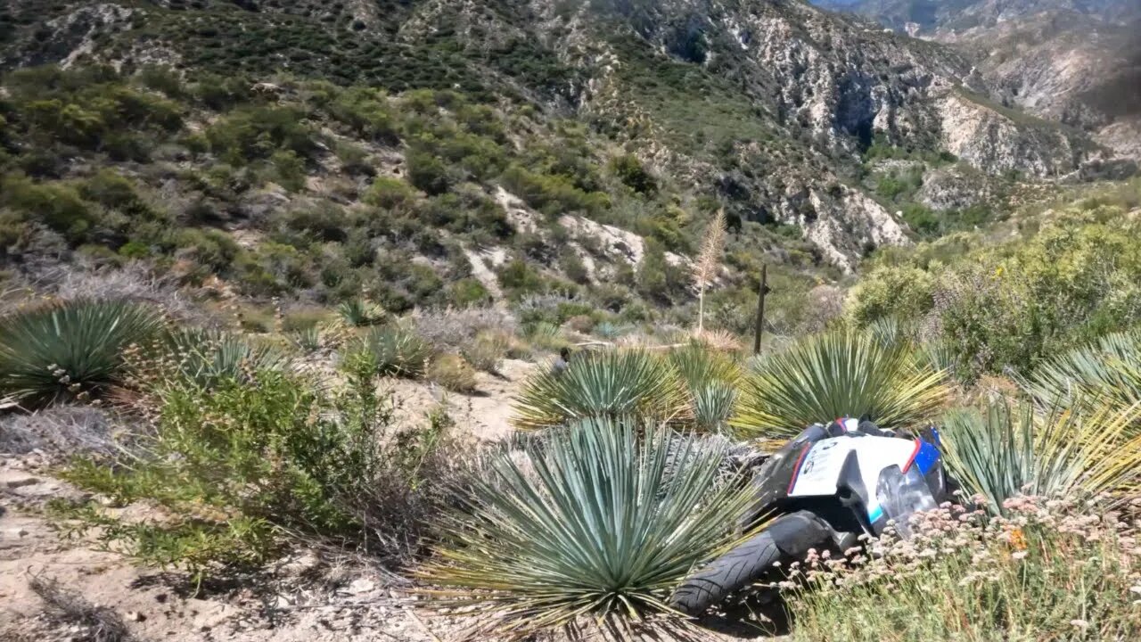 Rider flew off the canyon ...