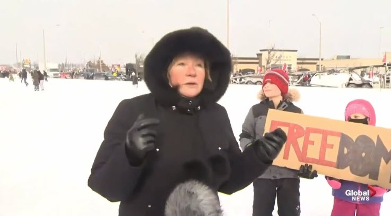 Canadian woman thrashes and humiliates MSM journalists