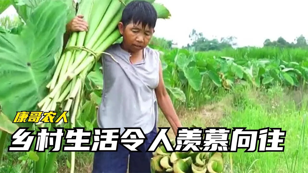 广西一米三袖珍人自强不息,老小孩坚韧不拔,砍柴种地样样行,乡村生活让人羡慕向往