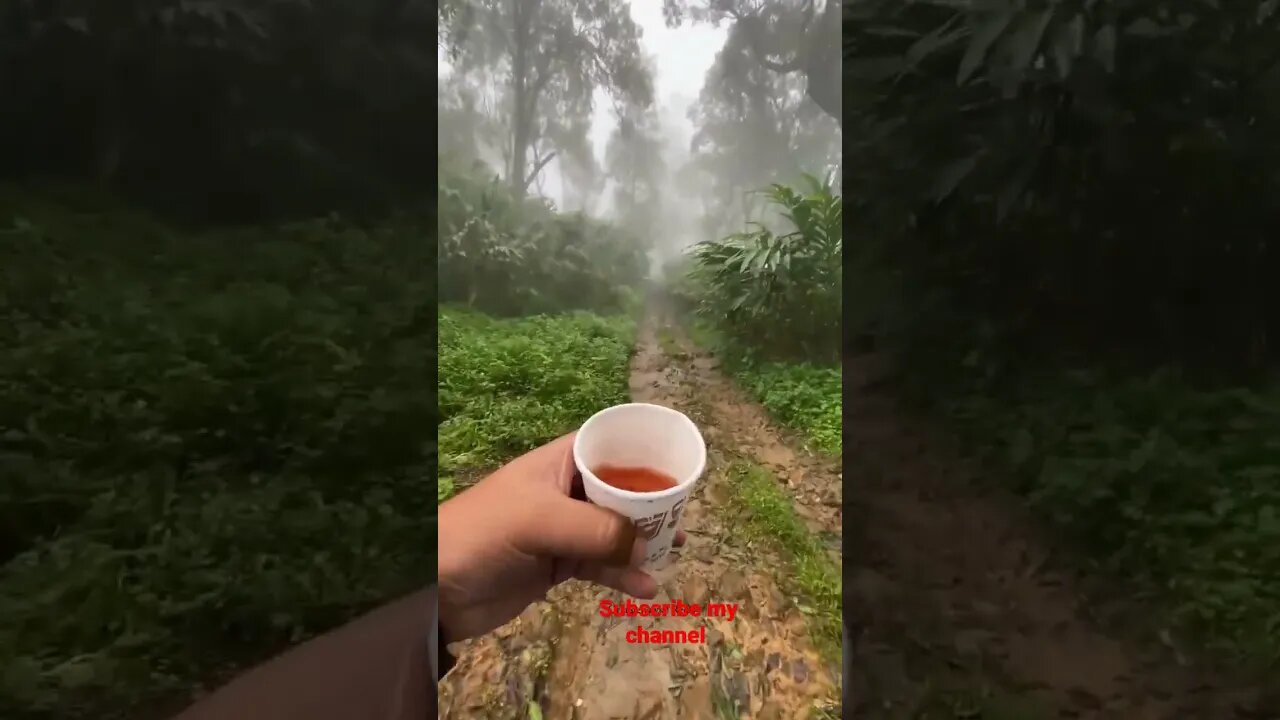 #let's see #after rain fun