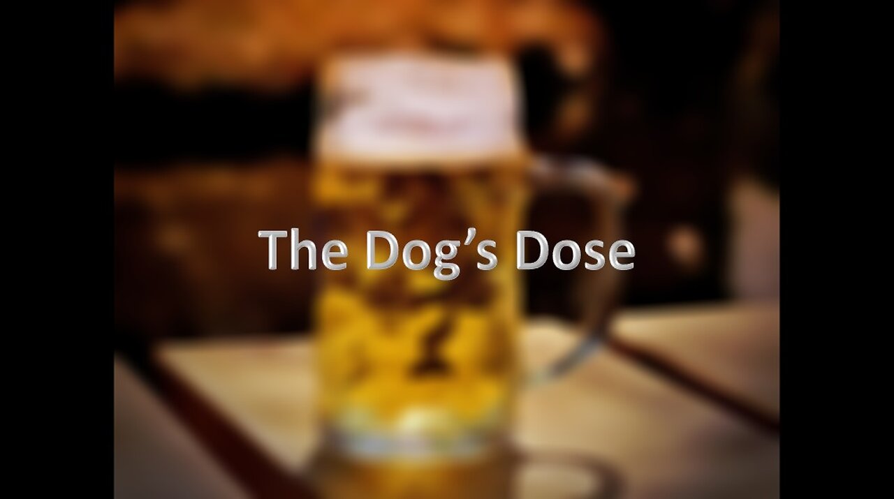 The Dog's Dose