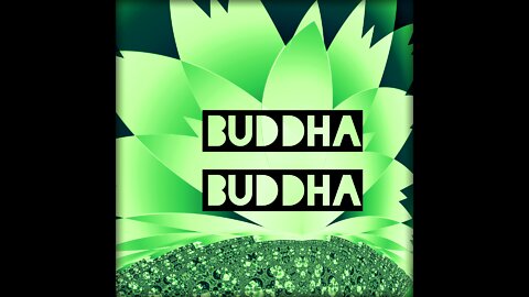 Buddha Buddha