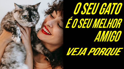 10 MOTIVOS QUE FAZEM DOS GATOS OS NOSSOS MELHORES AMIGOS