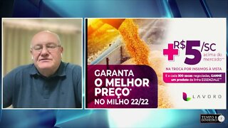 Milho a +R$5,00 na relação de troca por insumos na Lavoro de RO e MT