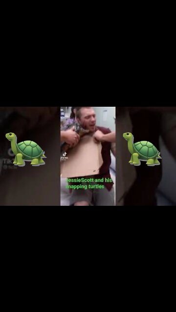 Jessie Scott and His Snapping Turtles 🐢