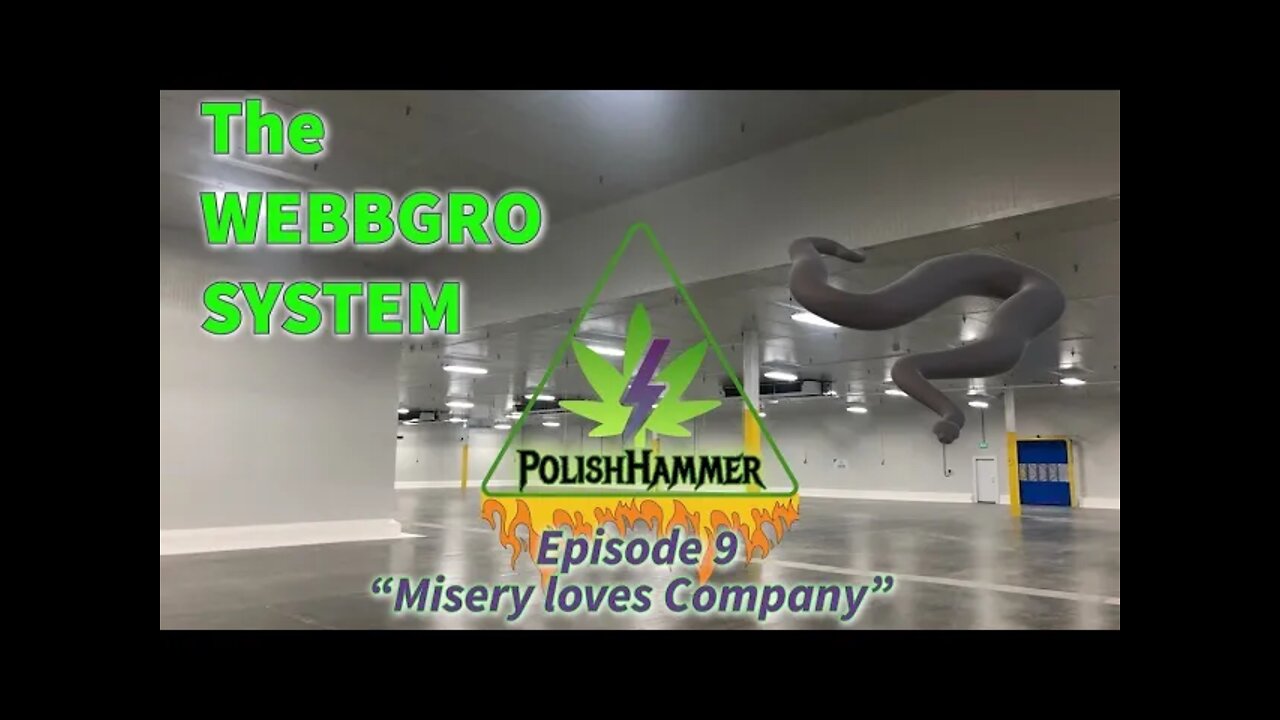 WebbGro System Ep.9 "Misery Loves Company" 🕸🌲👽🔨 #WEBBGRO #NORTHGENETICS #MAC1 #SPIDERFARMER DAY43