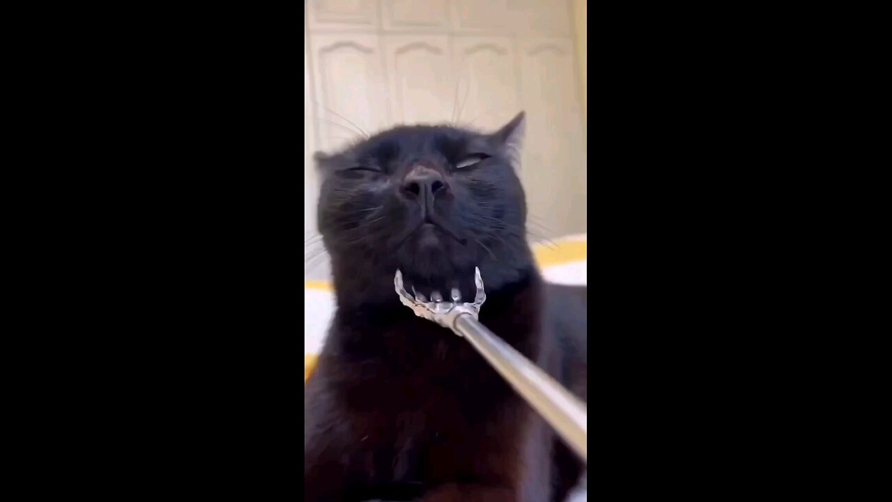two of us and tickles