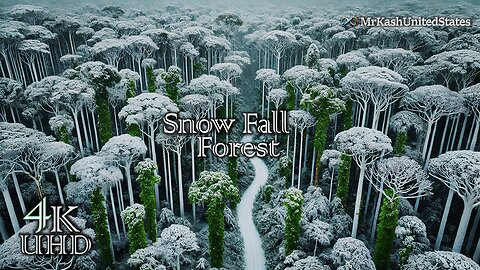 MrKashUnitestates:- Snow fall relaxing nature|| 4K UHd Quality #nature #relaxing #relax #snow