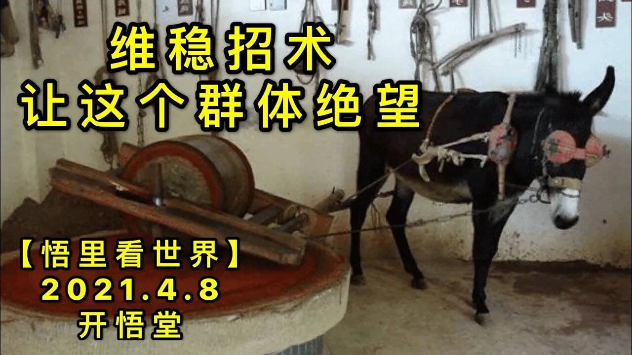 KWT1471维稳招术，让这个群体绝望共20210408-11【悟里看世界】