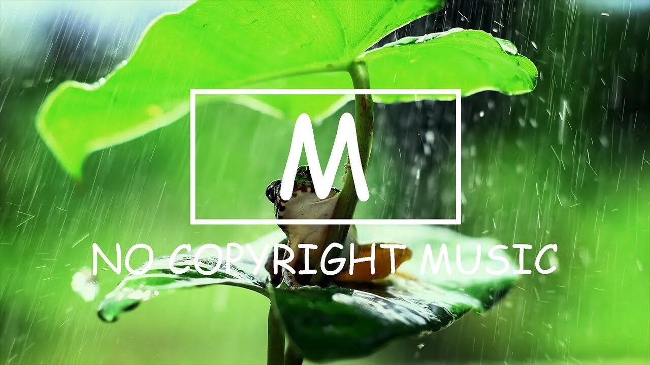 Joakim Karud - Something New(Mm No Copyright Music)