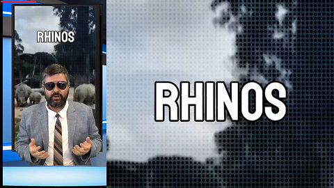 Man who swam with Rhinos in New Zealand Zoo pond won't be charged by police.