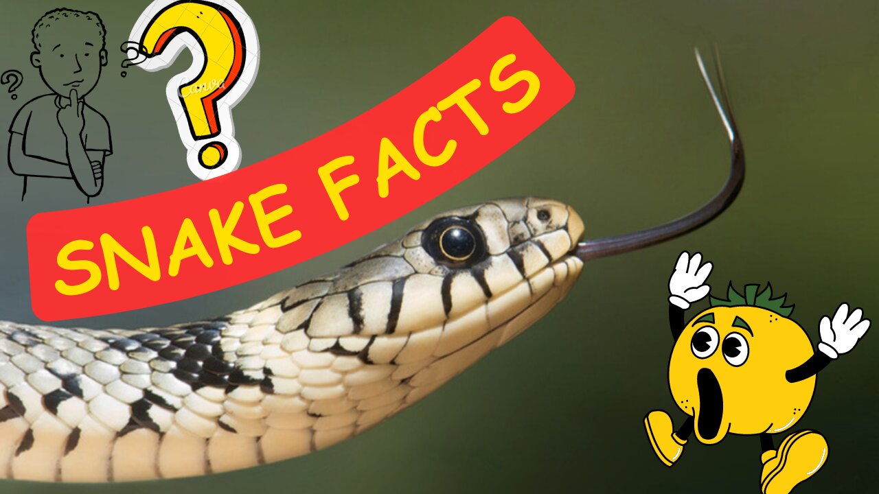 Amazing Snake Facts | Snake Eyes | Snake bite | Snake diet