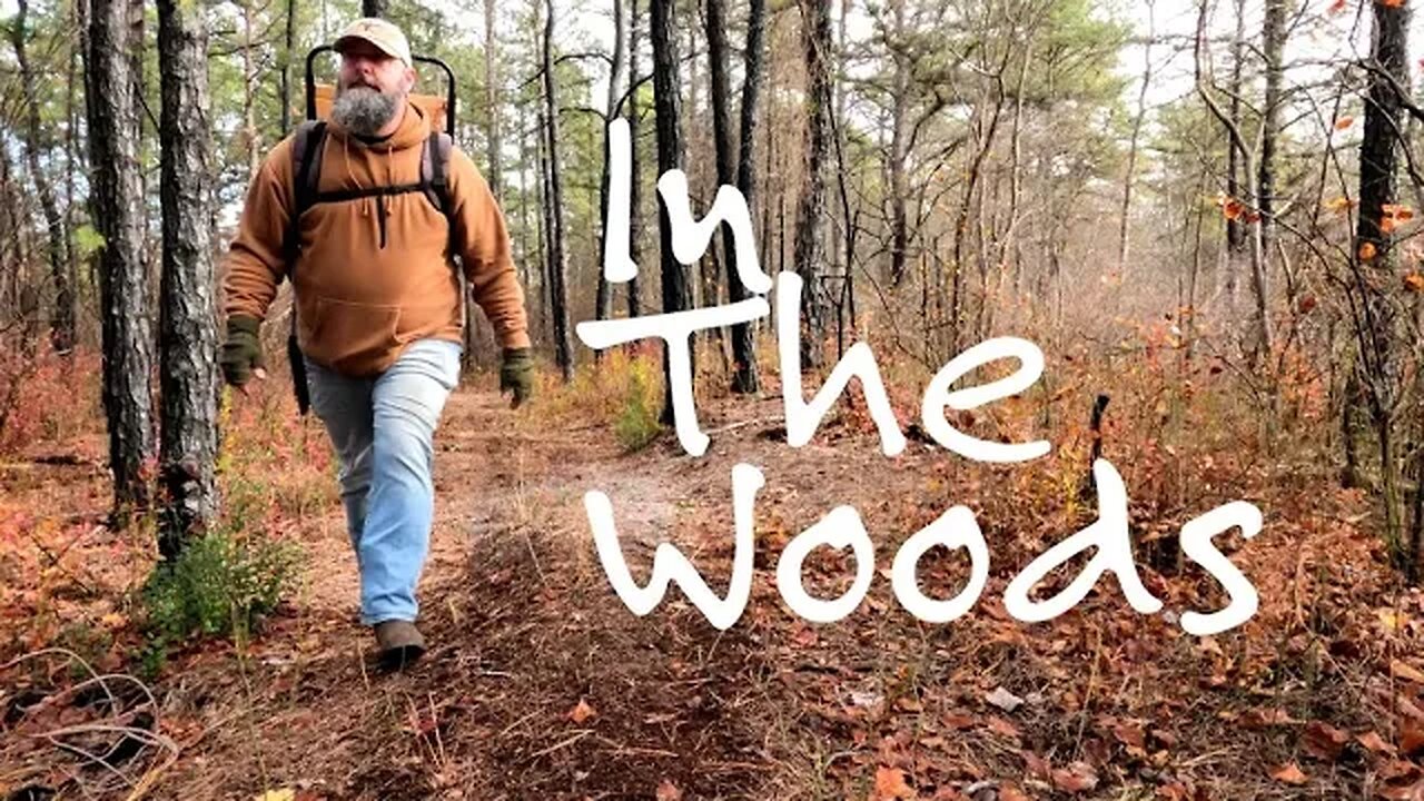 A Walk in The Woods #peace #quiet #asmr #inthewoods #yankeefree