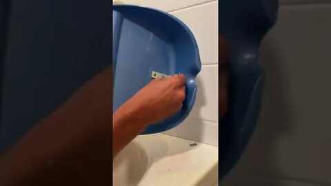 #shorts #2022 funny,prank,funjokes,dad jokes,funny memes,funny video,fun,laughing,funny animal,knock