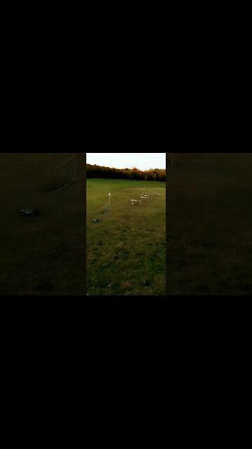 (short) FPV Ground Game
