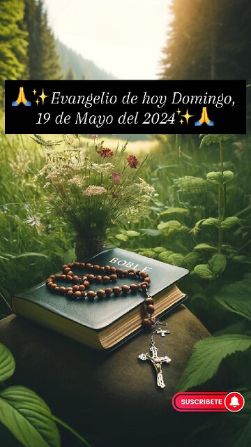 🙏✨Evangelio de hoy Domingo, 19 de Mayo del 2024✨🙏