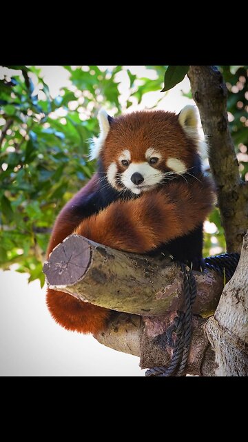 Monday morning be like