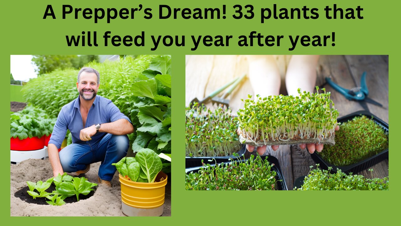 A Prepper's Dream! 33 Plants That Will Feed You Year After Year!