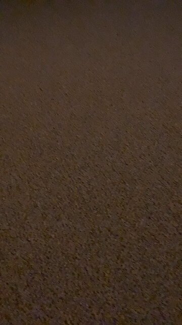 Absolutely vile, fowl, disgusting “pun”