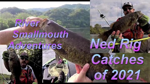 Ned Rig Catches 2021