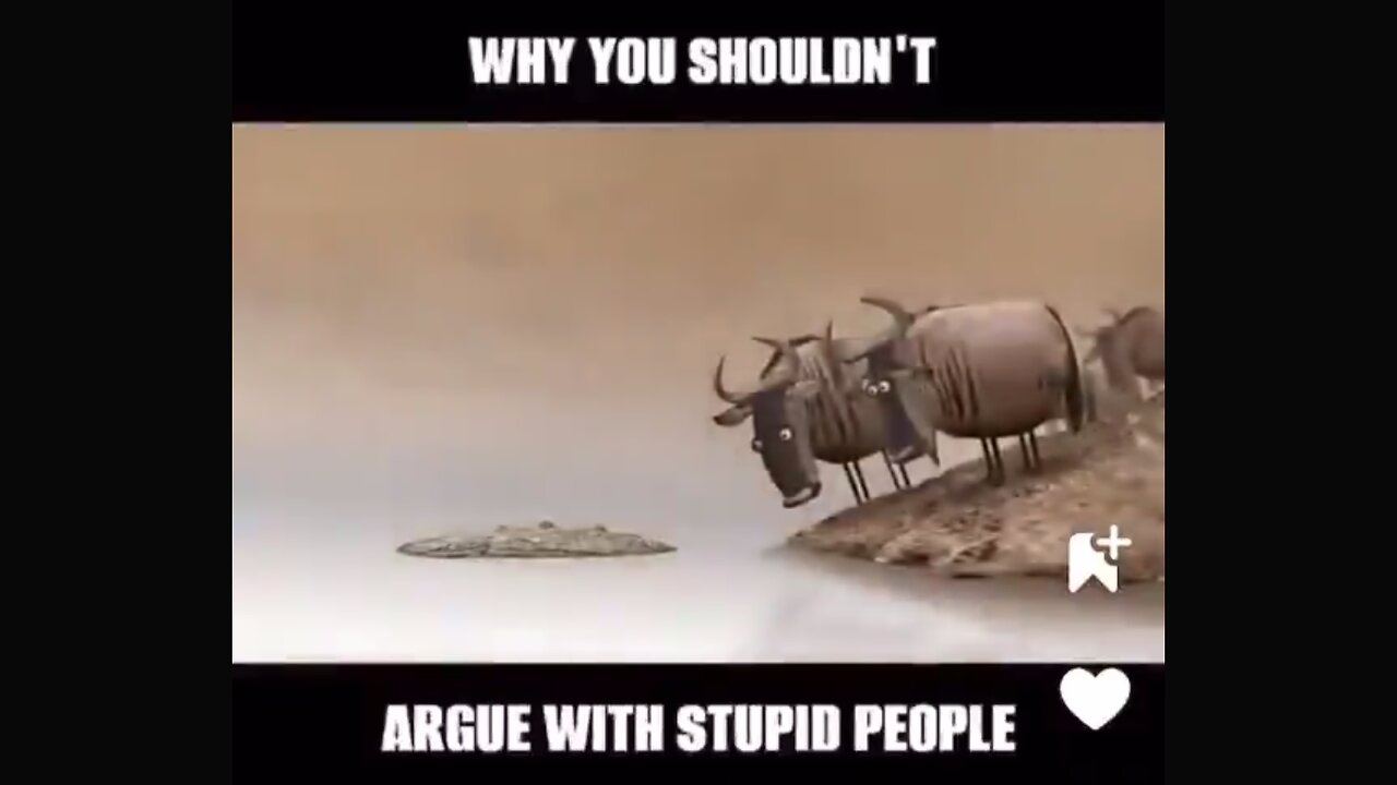 Why You Shouldn't Argue with Stupid People