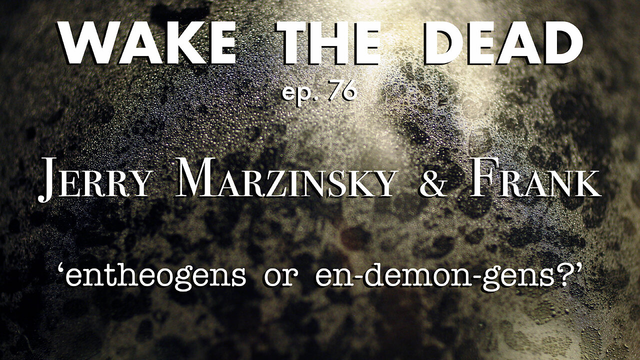 WTD ep.76 Jerry Marzinsky & Frank 'entheogens or en-demon-gens?'