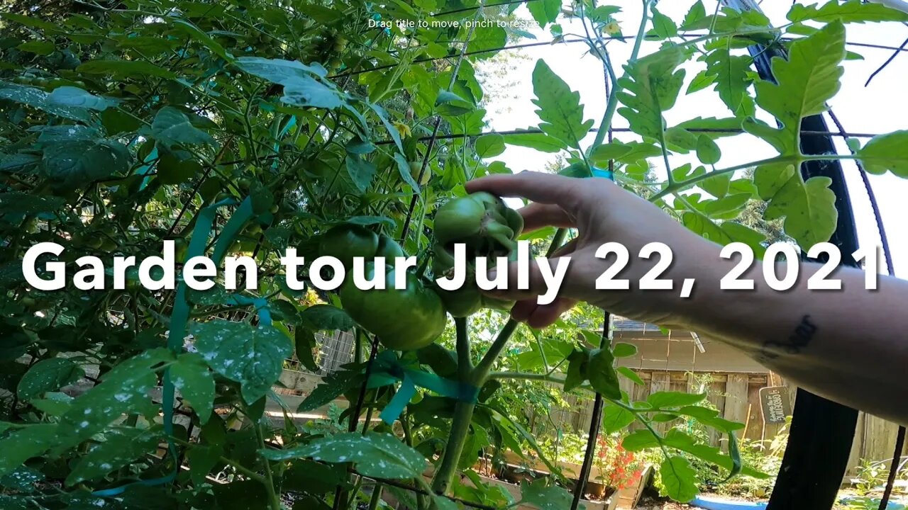 Garden tour July 22, 2021