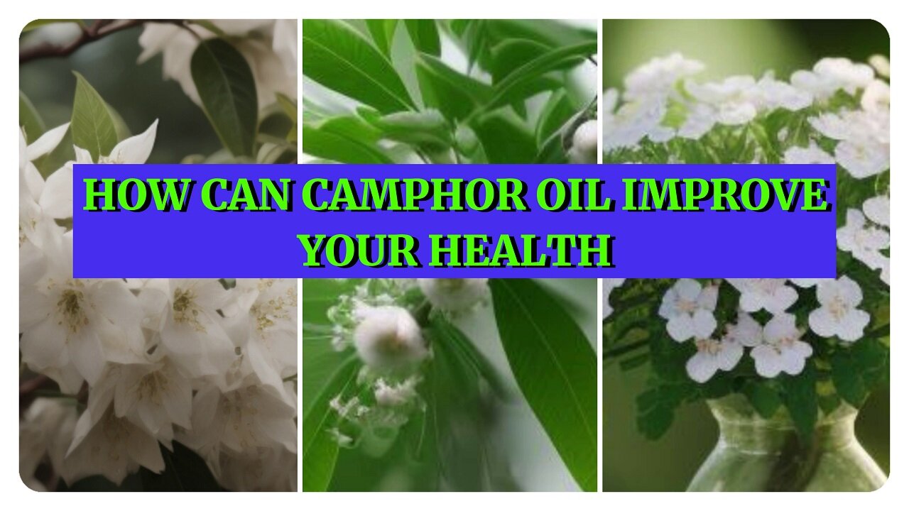 How Can Camphor Oil Improve Your Health