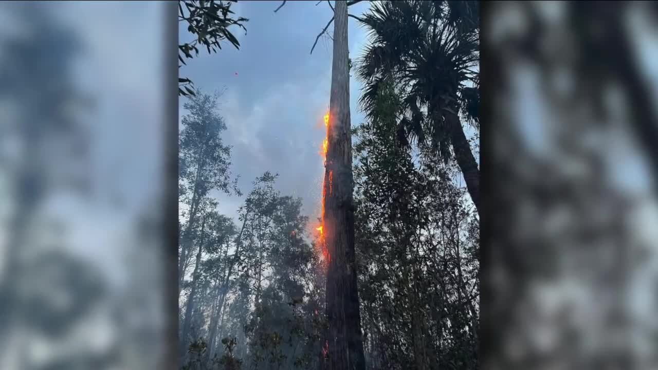 Bonita Springs brush fire causing smoke concerns