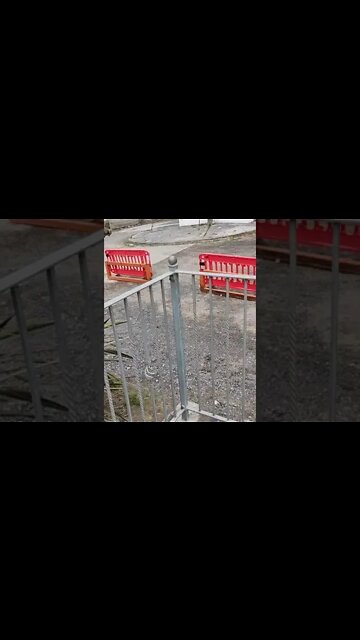 Cockle wars erupt at Ferryside foreshore