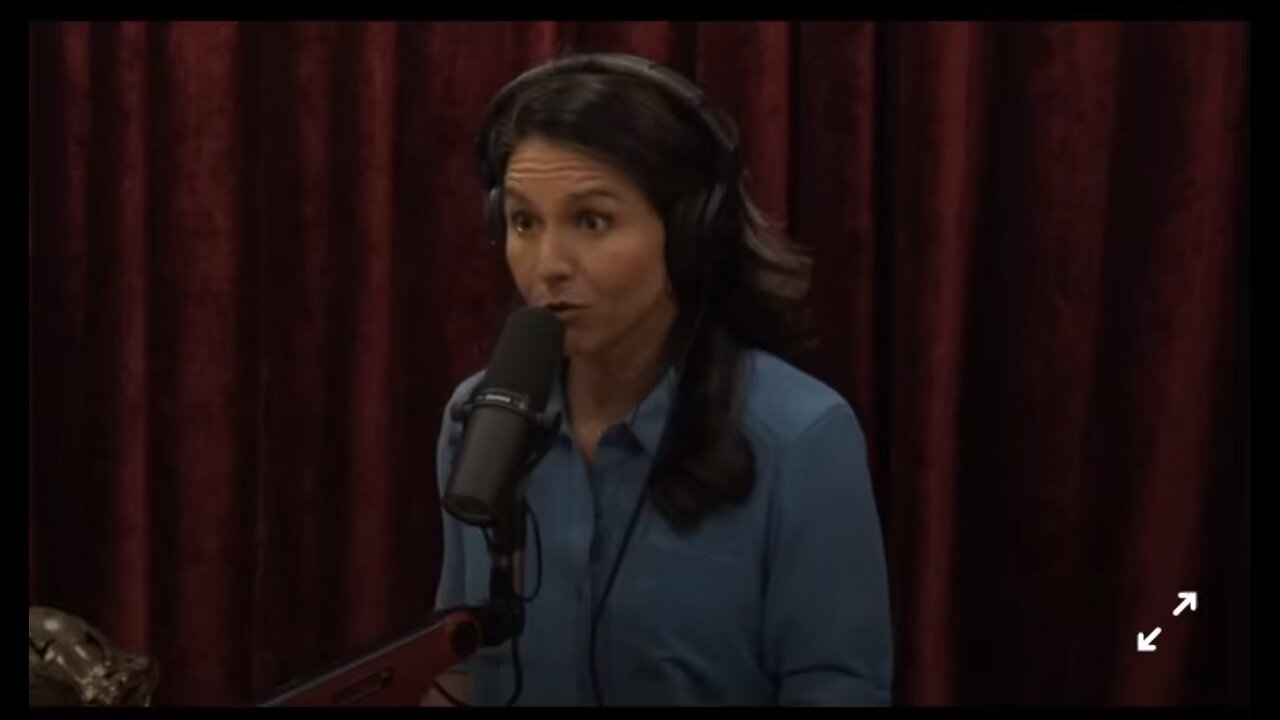 Tulsi says there needs to be a peaceful resolution to Ukraine war
