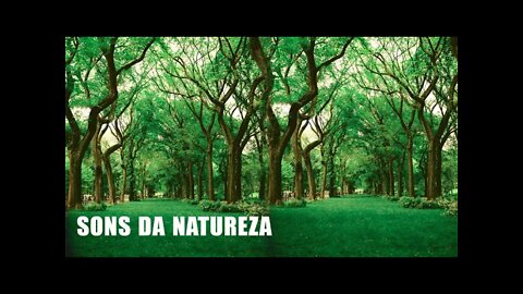 Música Relaxante e Sons da Natureza - Alivie o Estresse e a Ansiedade