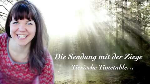 Tierische Timetable