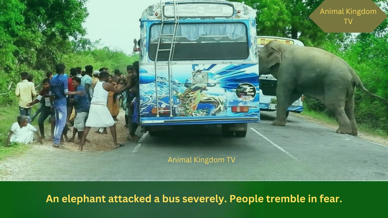 An elephant attacked a bus severely. People tremble in fear.