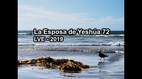 La Esposa de Yeshúa 72 - YHWH Ekjad 51 - Juan 9