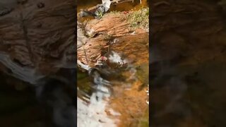 A whirlpool in the water