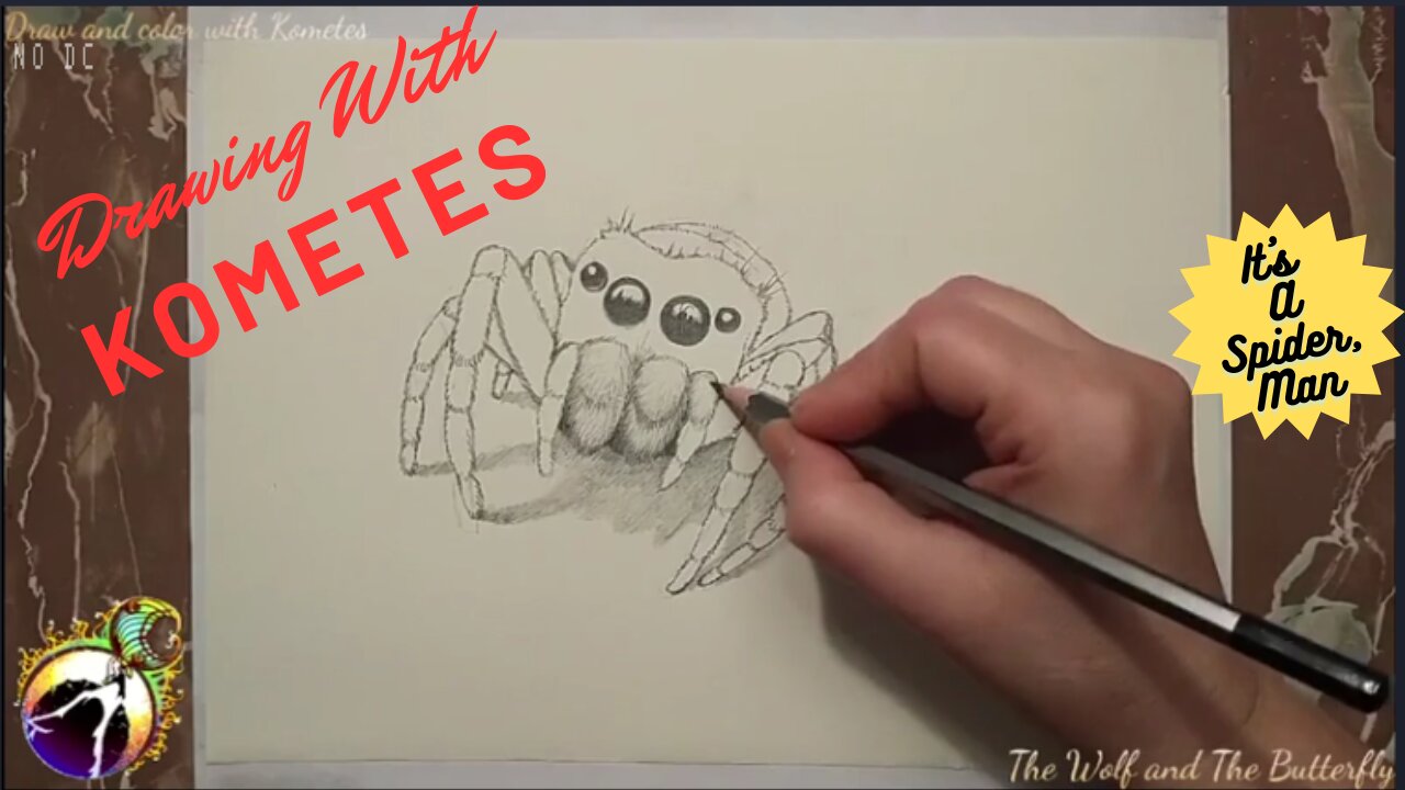 Drawing a Realistic Jumping Spider in Pencil #jumpingspider #drawingvideo #timelapseart