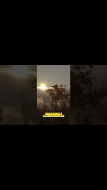 NY WEATHER~AUTUMN MOON&GEESE 10/27/2023 #nyweather #fall #autumnmoon