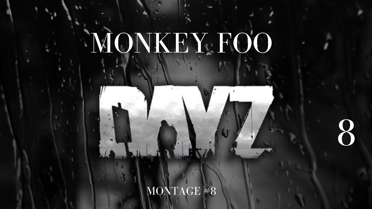 DAYZ Montage Number 8