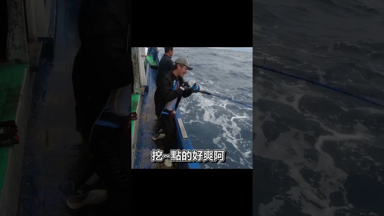 釣紅甘就是要這個感覺啦！#Shorts