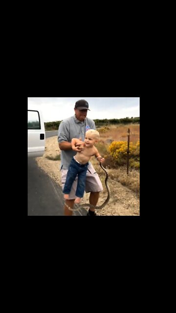 Little Man Grabs Snake and Won't Let Go