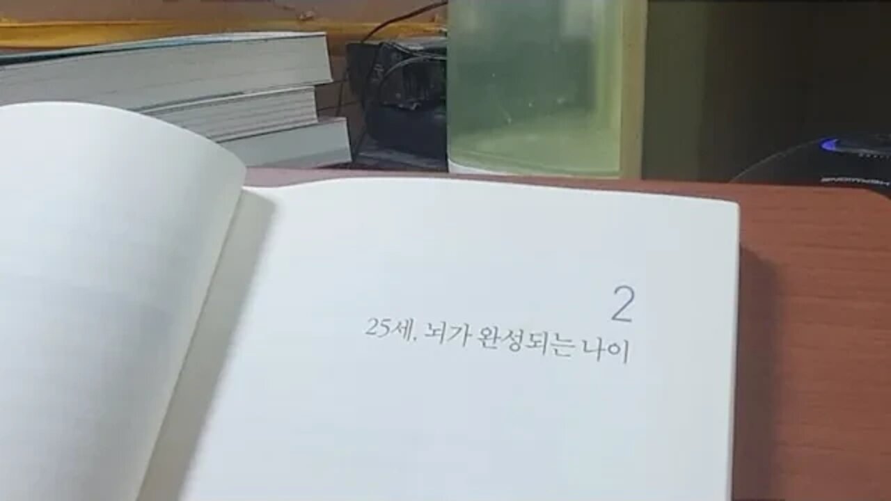 왜 절은 뇌는 충동적일까, 제시 페인, 25세, 뇌가 완성되는 나이, 투표권, 어른,뇌과학,자동차사고,운전