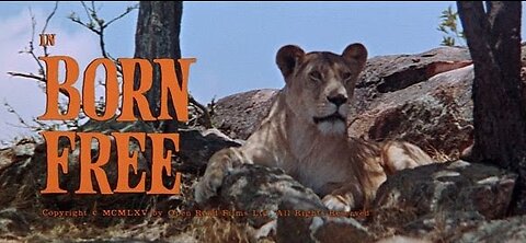 Born Free 1966 ~ by John Barry