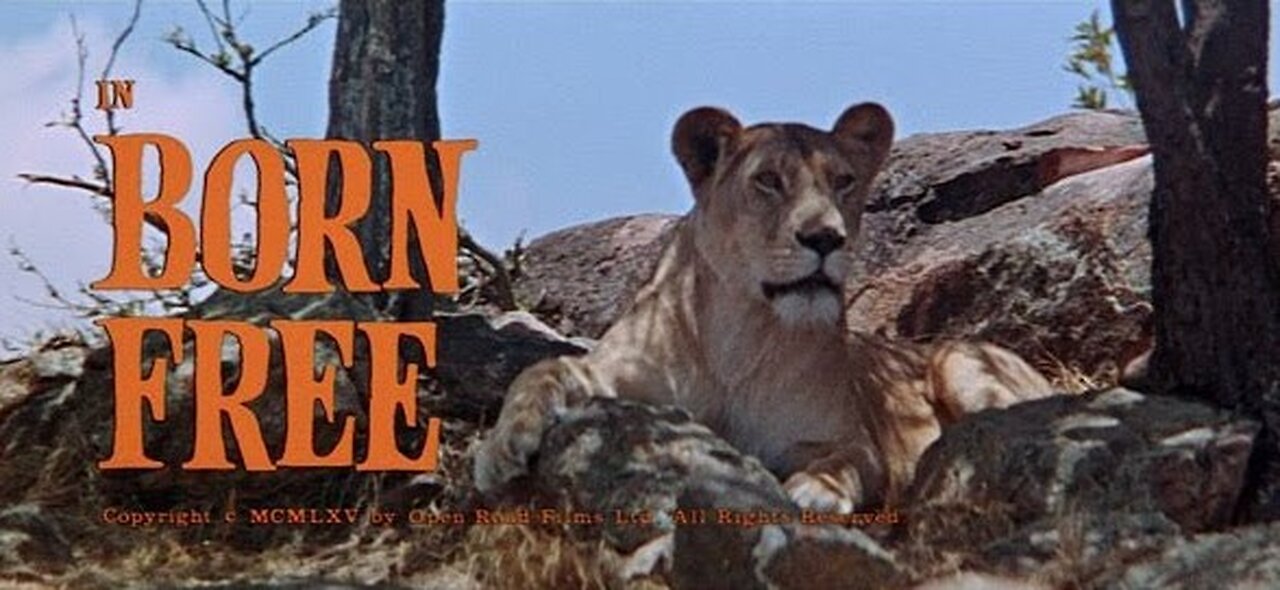 Born Free 1966 ~ by John Barry