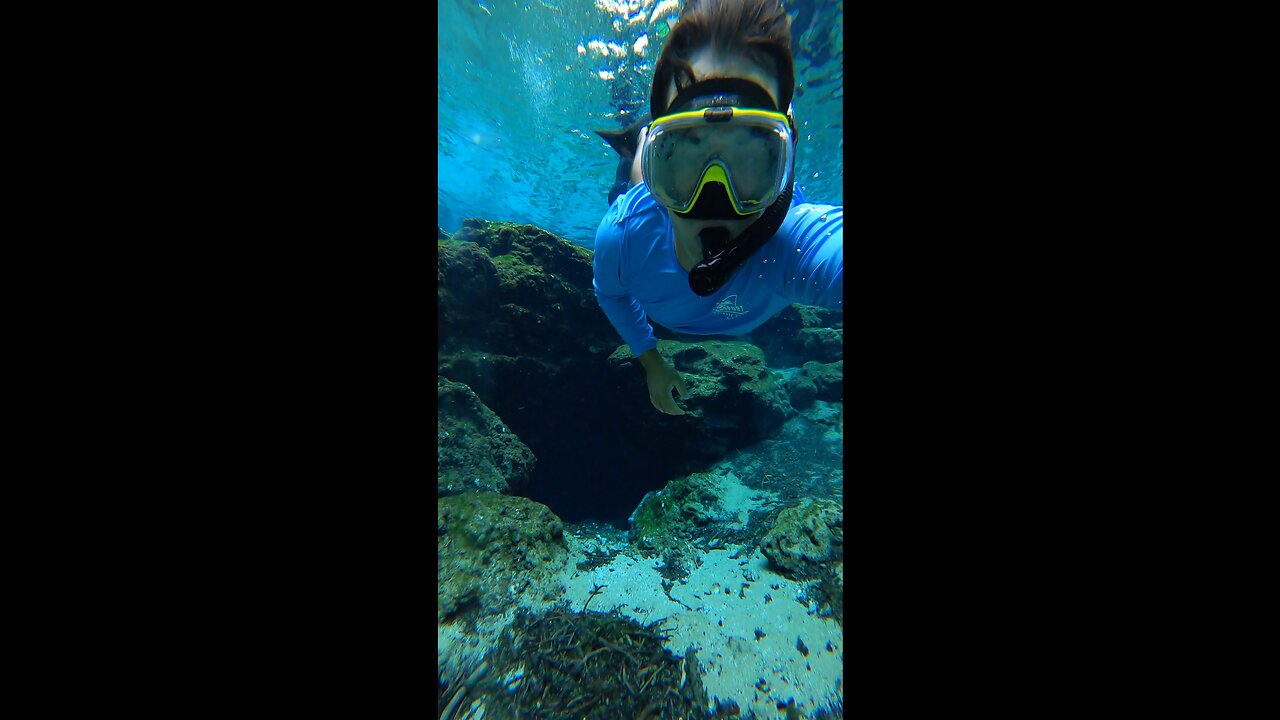 Snorkeling in the springs #florida #diving #snorkeling #rumble #vlog #trend